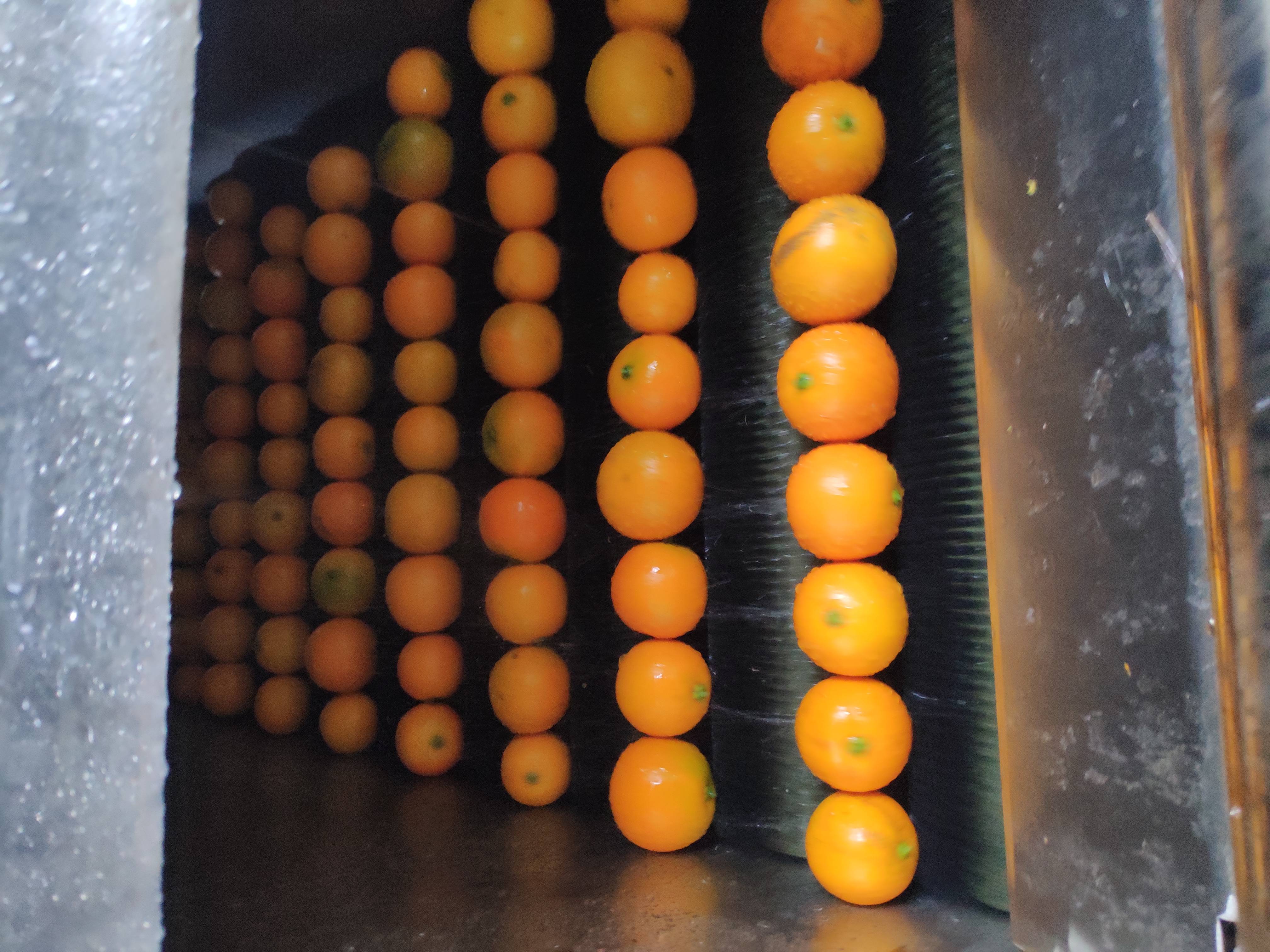 当季新鲜，甜如初恋麻阳冰糖橙，批量出售(1万斤起步)，一件代发。详情请联系刘先生17718571124