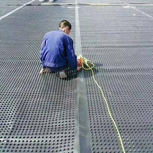 排水板屋顶花园塑料隔水板园林绿化滤水板A衡水安平厂家直销
