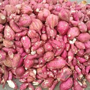 安徽正宗的红薯粉，零添加，经过纯手工制作而成，粉丝，纯正...
