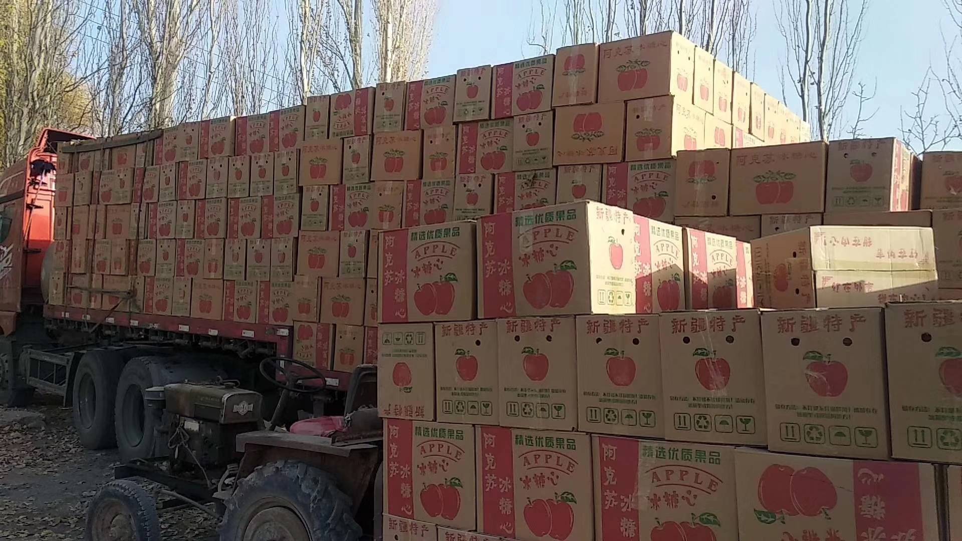 新疆阿克苏苹果，安箱子发货，需要的联系15769030259