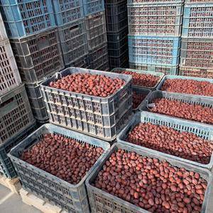 新疆红枣供应，安箱子发货的，有特级，一级，二级的品种，需...