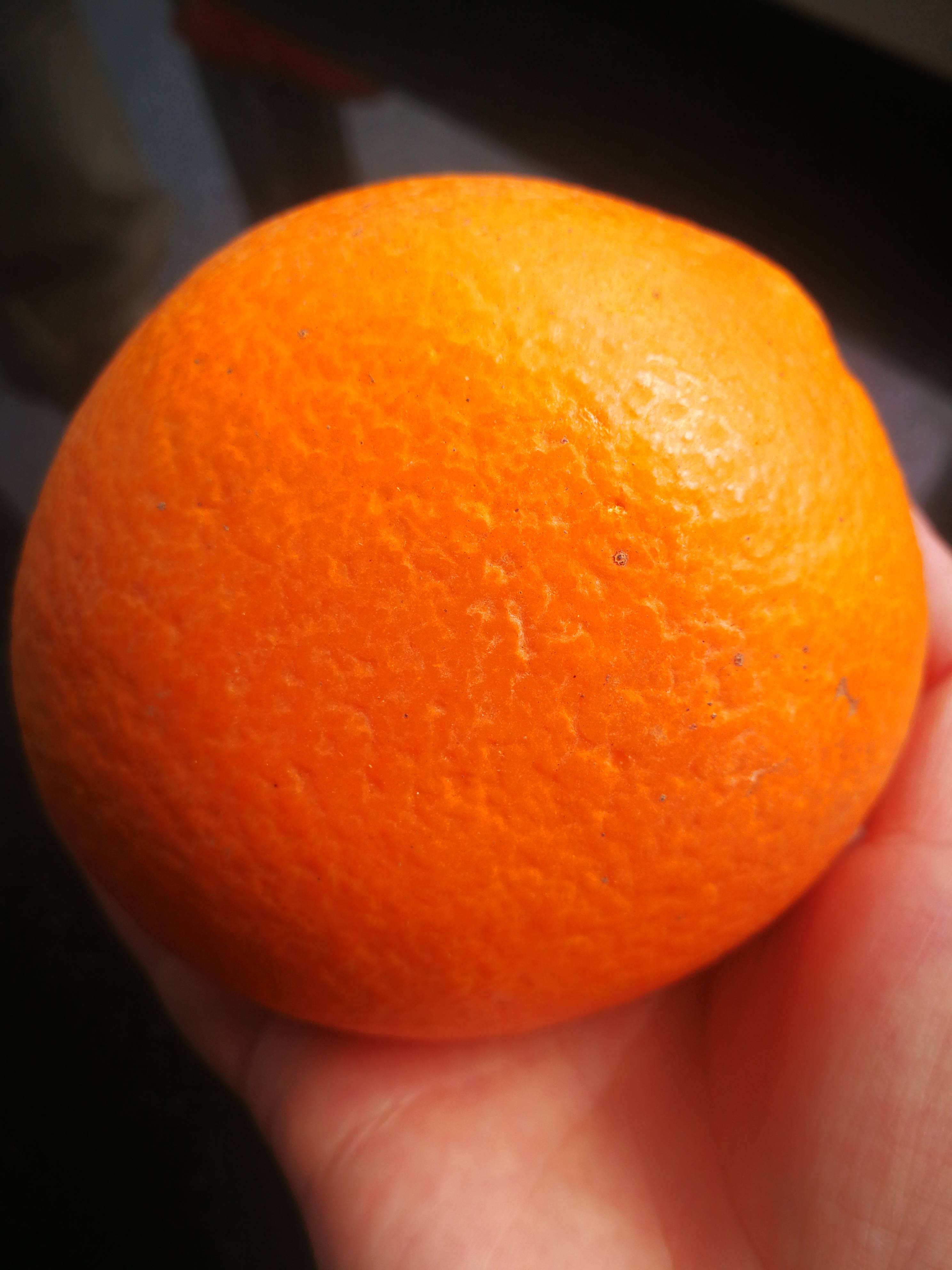 农家自产长虹脐橙，价格优惠，无公害食品！