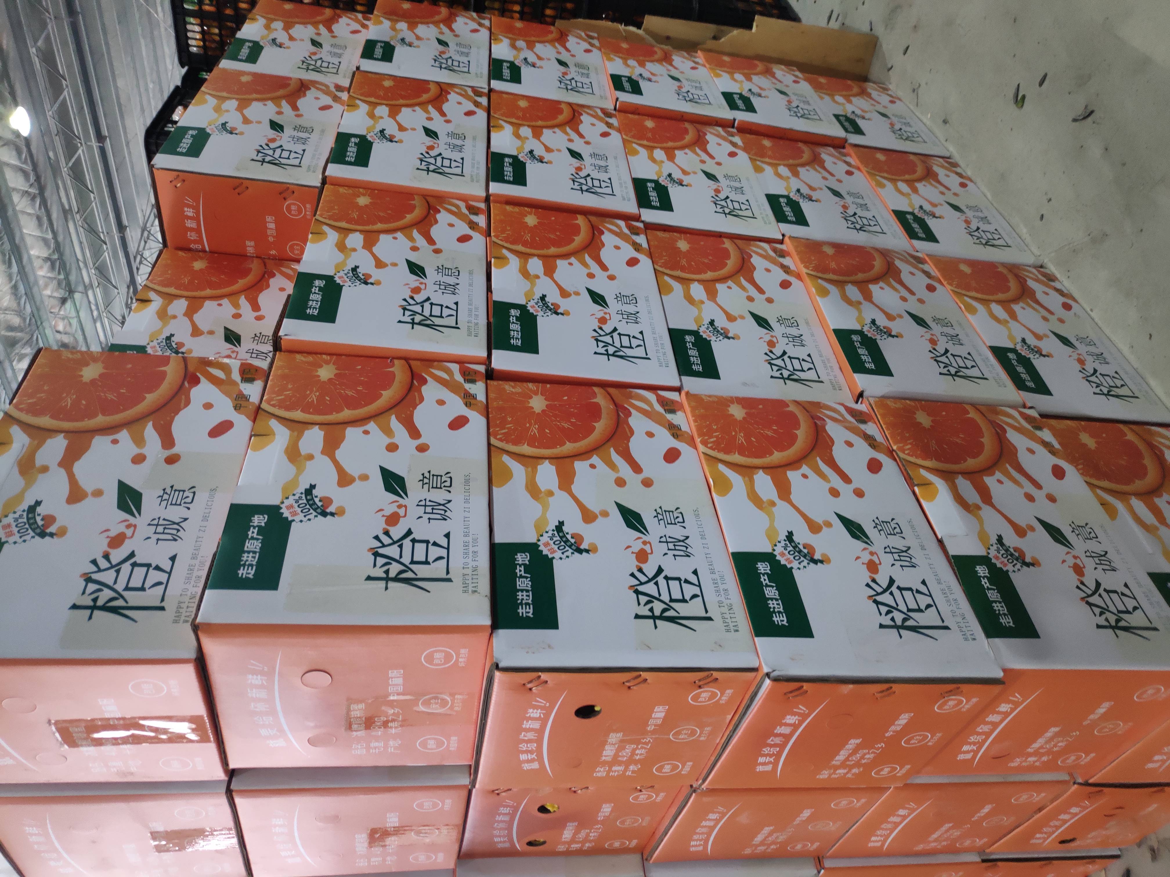 拜年送礼最重诚心，橙心诚意礼盒装冰糖橙，过年送礼必备礼品。一盒批发价19.9元，起批量1000件。