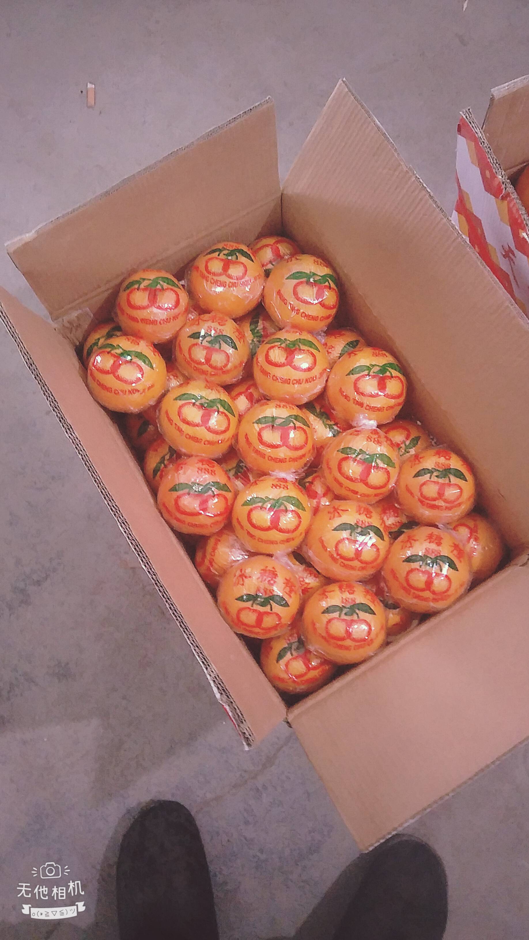 湖南省黔阳冰糖橙，香甜可口，肉鲜汁多，有需要合作的老板们来电15874524150杨胺杨胺程