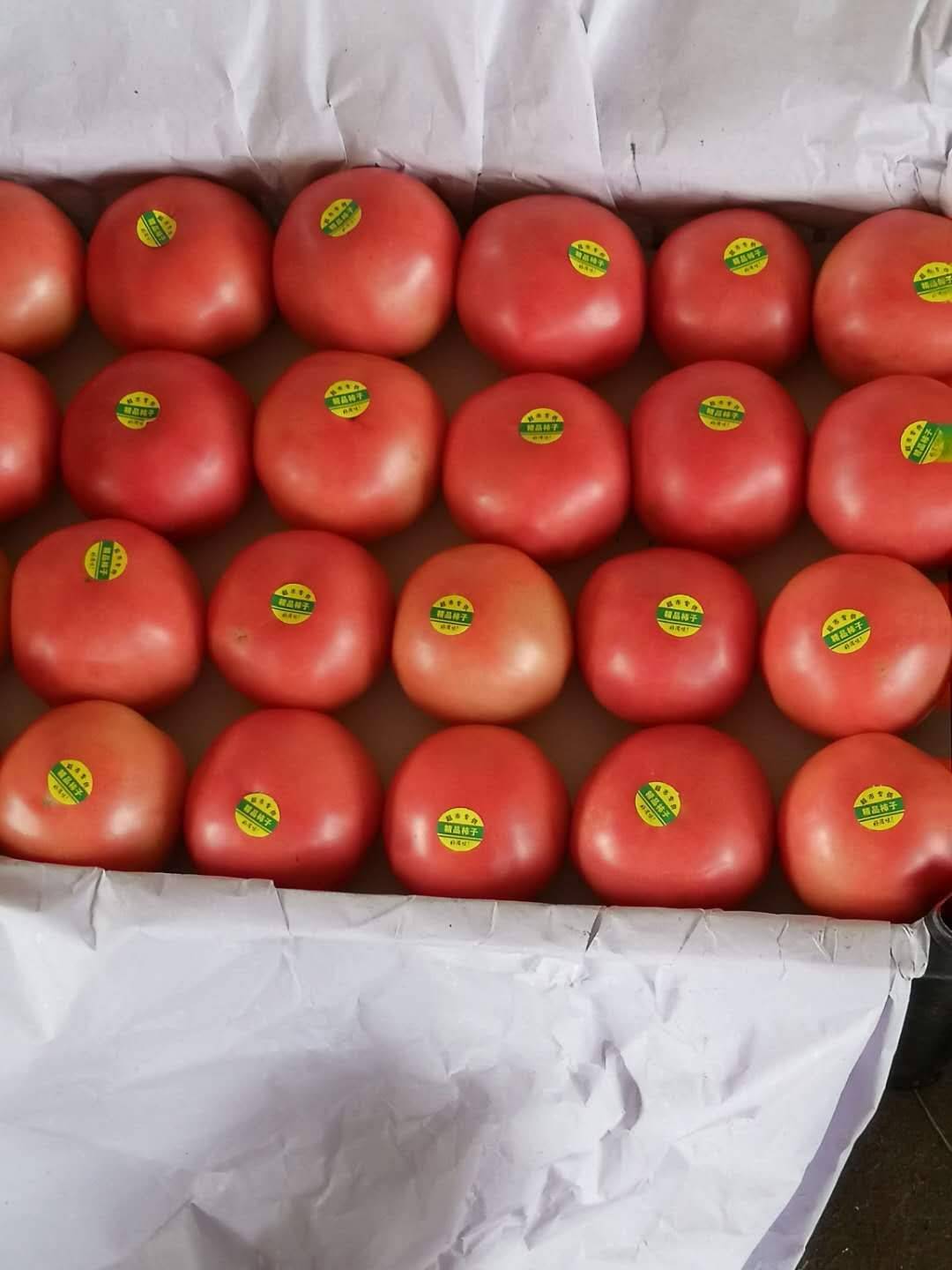 我地区专产西红柿，质量好，价格低，欢迎前来采购