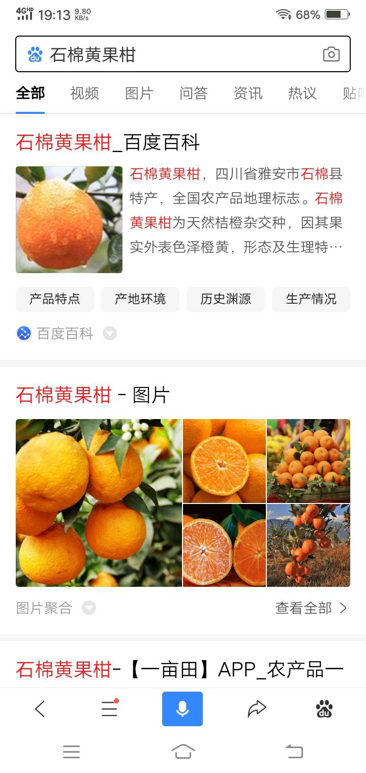 这里有两万多斤橙子需要卖出，石棉黄果柑，味甜自己地里的。