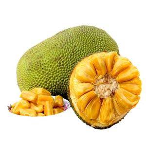 海南海口正宗菠萝蜜新鲜产地现货，价格优惠，欢迎咨询13632524219