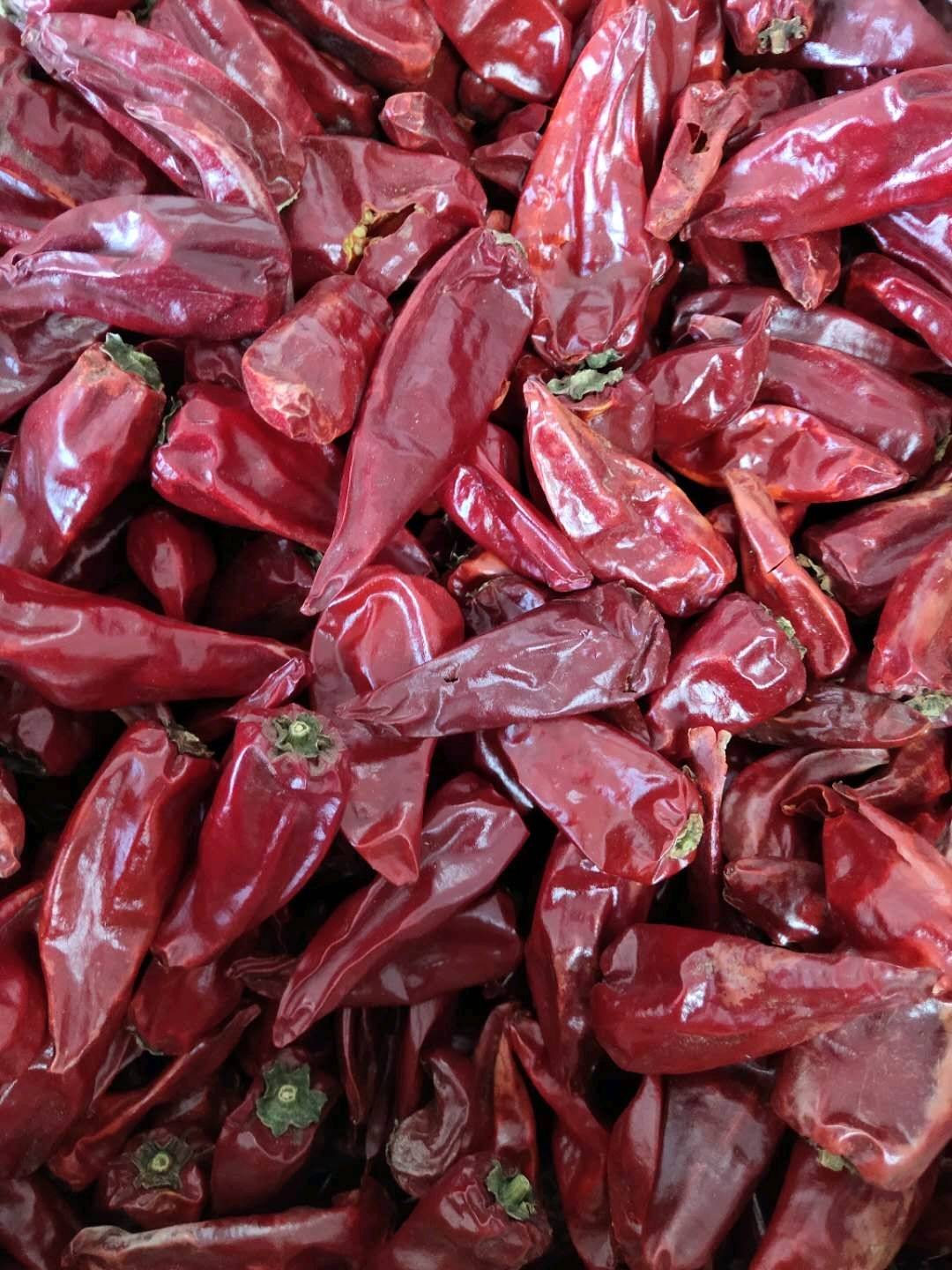 大量出售山西忻州北京红干辣椒，九成干，货源充足。有需要的...