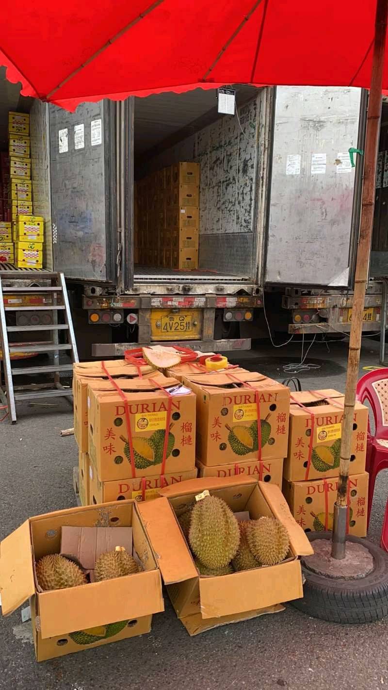 泰国金枕榴莲到货，要货联系，优质货，缺斤少两可举报，所有榴莲包售后