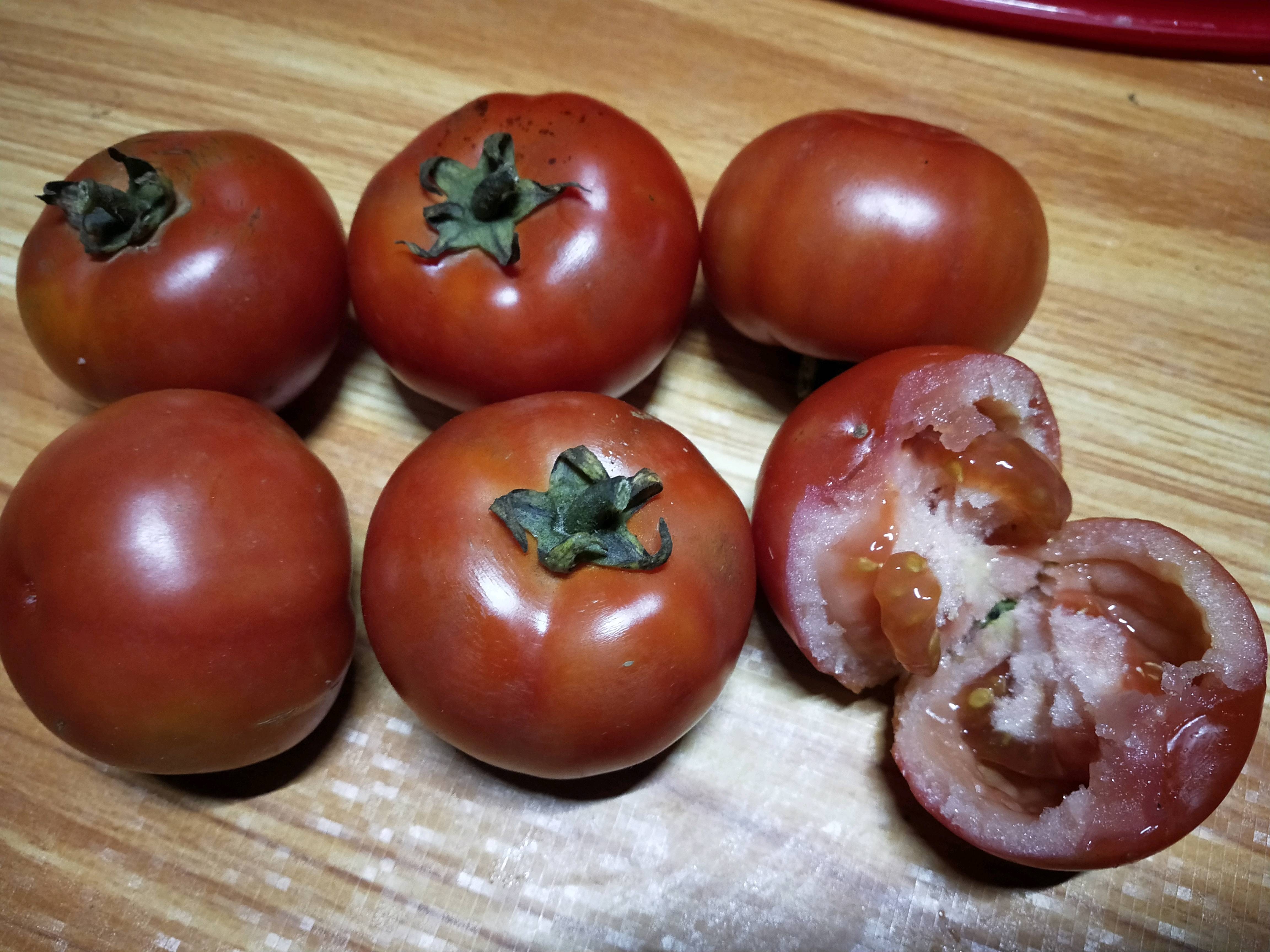 粉西红柿。露天有机种植。
