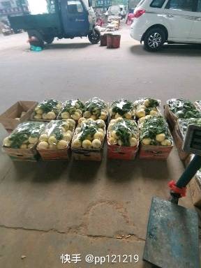 山东临沂费县甜瓜万亩种植基地，各种甜瓜已大量上市，有需要的老板与我联系，联系☎️13256578615或15563253139
