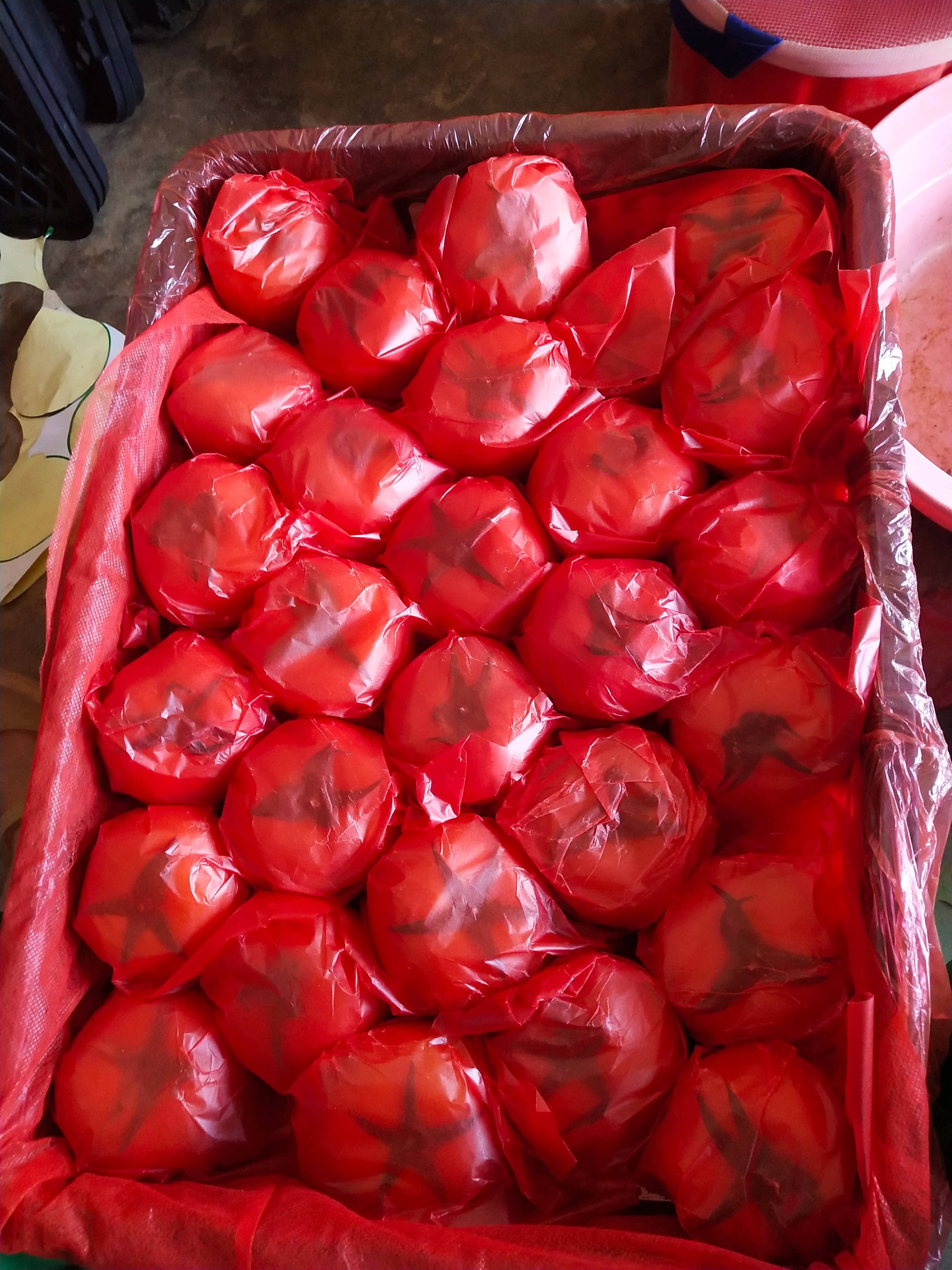 云南省红河州弥勒市西红柿大量上市，果硬，量大，需要的老板赶快动手