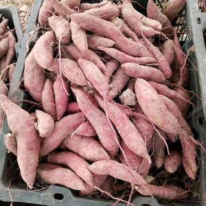 产地种植四千多亩心香红薯，每天产十几吨，价格便宜，质量一...