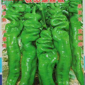 同乐23188螺丝椒龙椒辣椒种子：
     同乐23188螺丝椒一代杂交种，极早熟，果长26-28厘米，宽3-4厘米，单果重60-120克左右，果皮绿色，辣