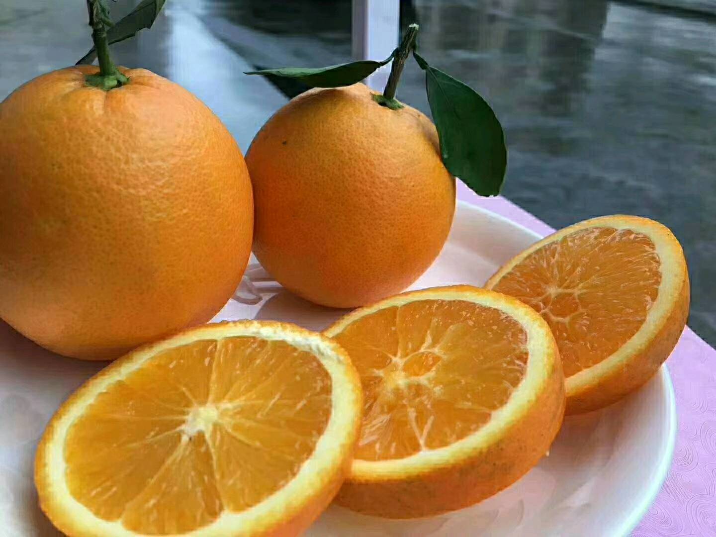 热卖优质夏橙挂树鲜果产地一手货愿看园釆果