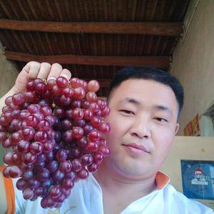 广宗县陆地套袋红宝石 大串  大颗粒现已上市  欢迎各地客商老板前来收购