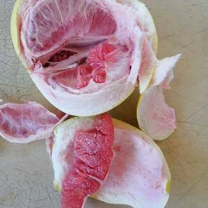 广西省三红密柚成熟上市了，有市场的你欢迎来人来电了解13...