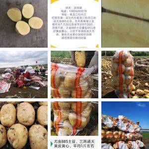 大家好；我是农产品代办：黑龙江省牡丹江宁安地区是尤金88...