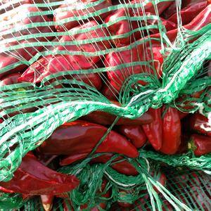 山西忻州出售优质北京红辣椒，质优价廉