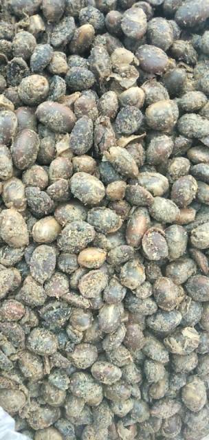 销售发酵大豆菌肥可以替代粪便和化学肥料，和有机肥料有机质...