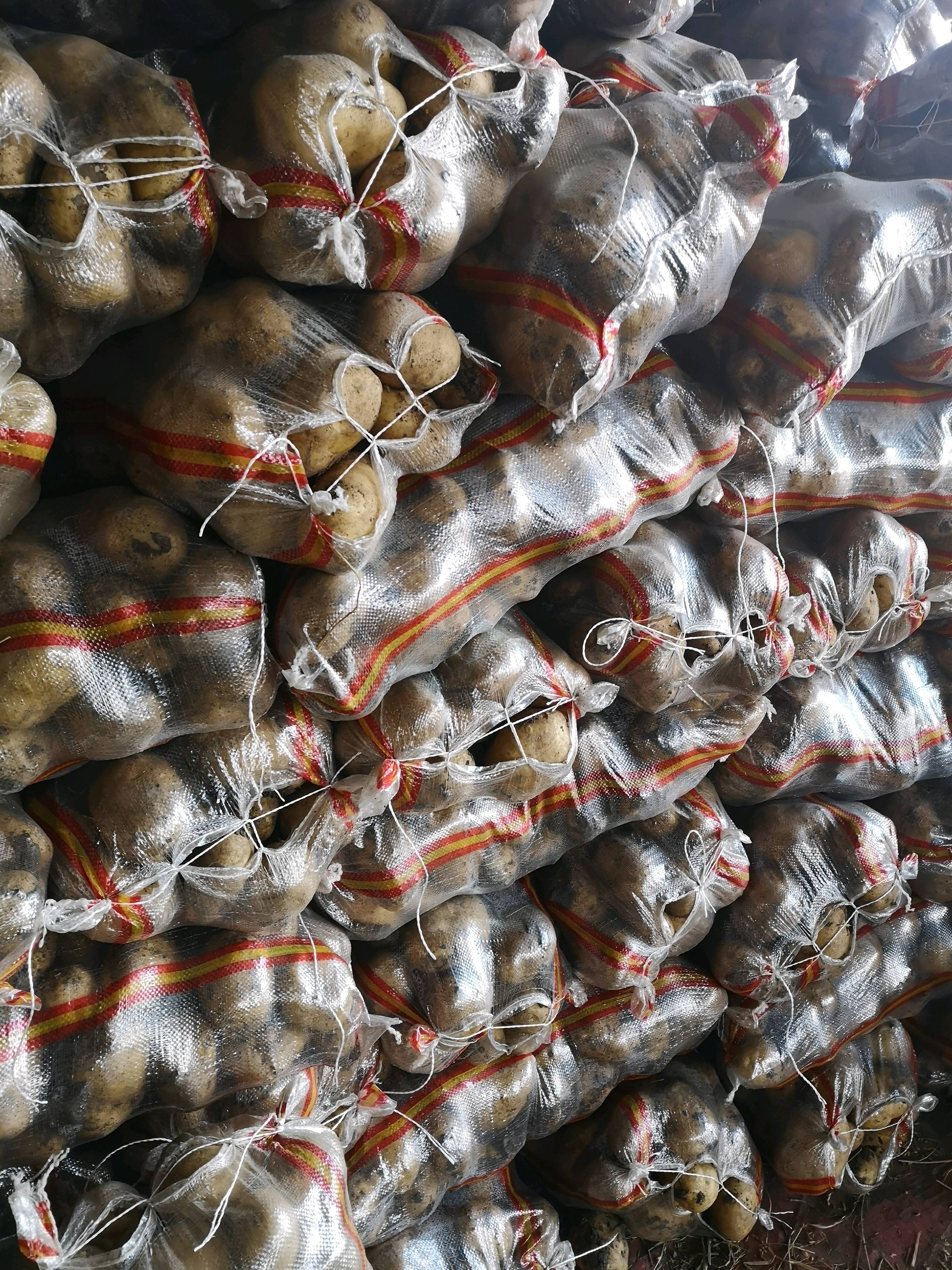 黑龙江牡丹江尤金885土豆，好货不贵，正是口，好货不贵，