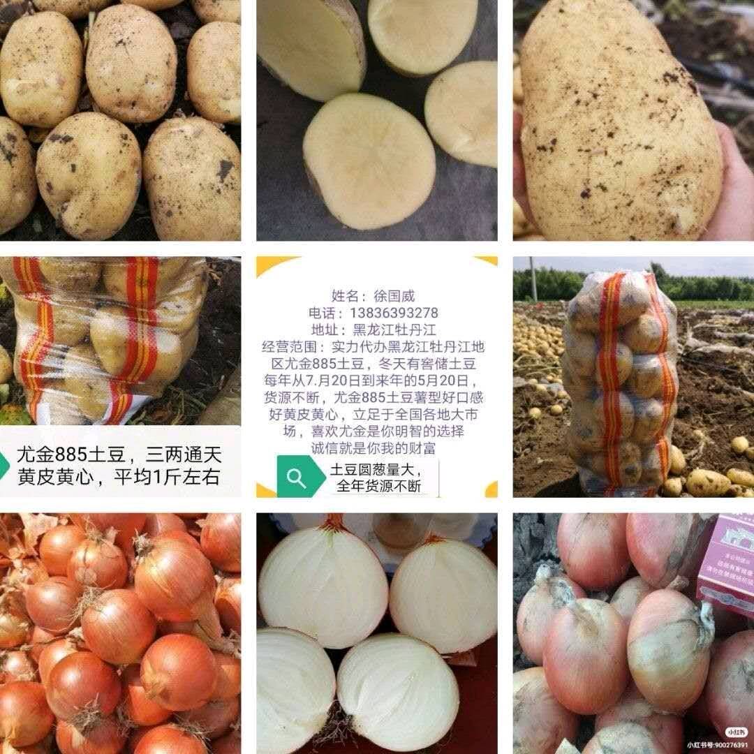 黑龙江牡丹江尤金885土豆，好货不贵，正是口，好货不贵，