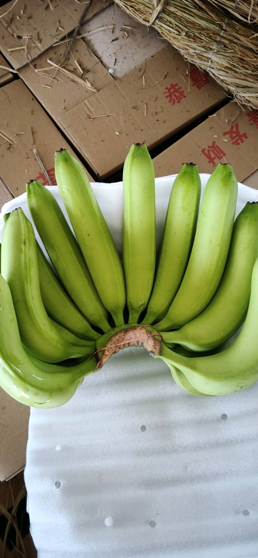 本人也是一名普通香蕉种植户，现在专业从事猴桥口岸，...