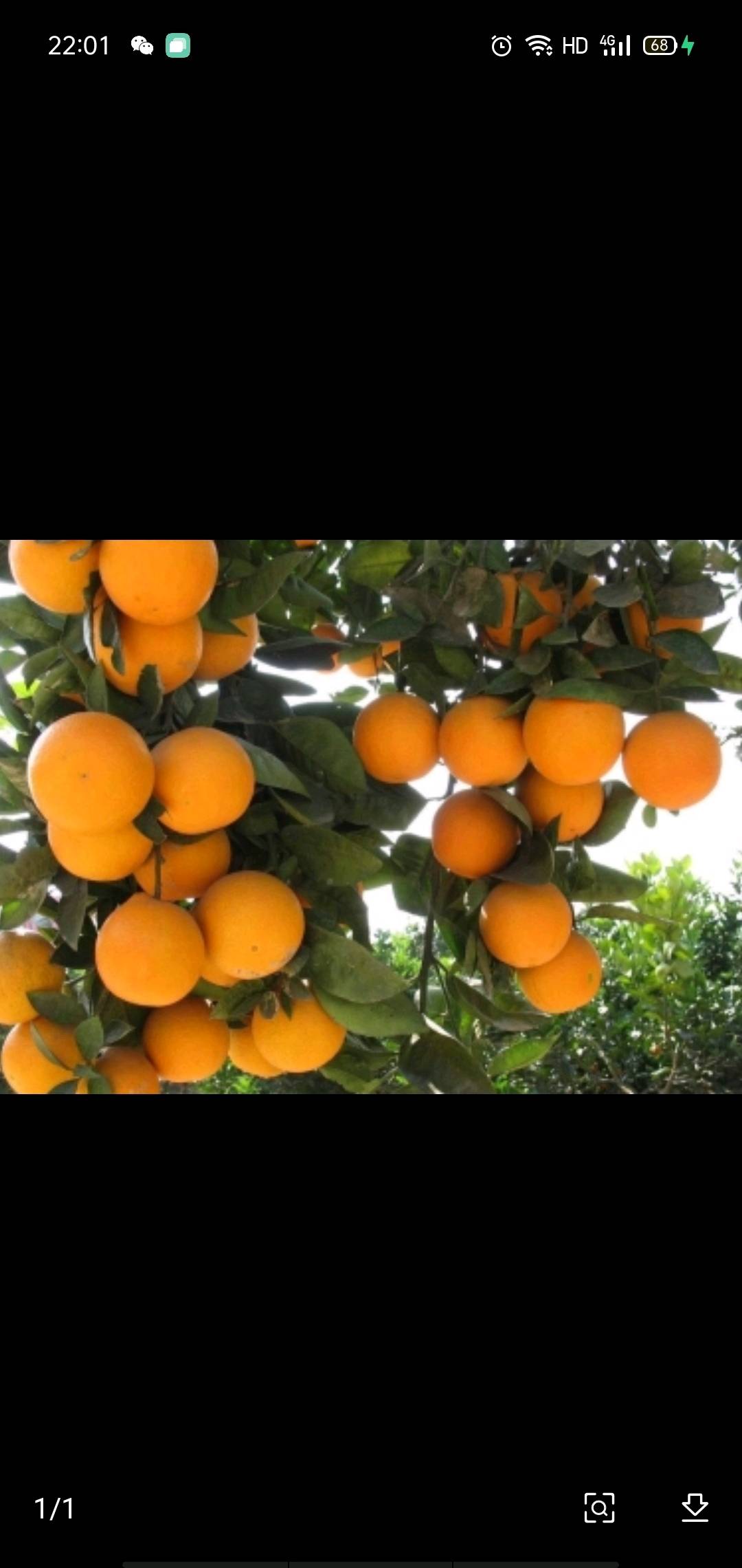 做了橘子很多年了，量大，价格实惠，橘子皮薄又甜，欢...
