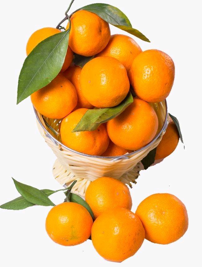 几百吨又大又甜的蜜橘，急需要销售，有兴趣的老铁可以...