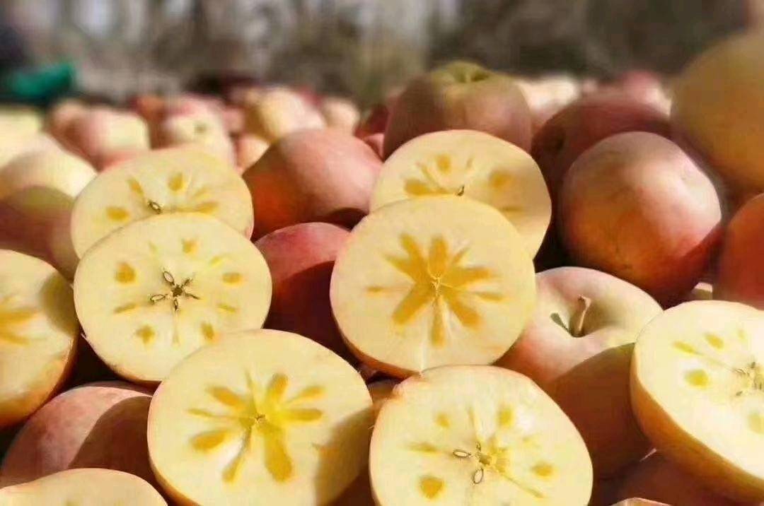 新疆阿克苏优质红富士冰糖心苹果，全部一级果，自家果园，施用农家肥，绿色无污染。价格优惠，欢迎来电垂询13999071863。