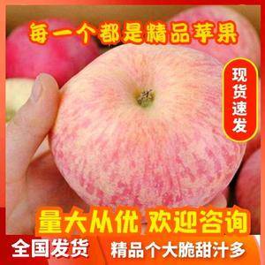 山东红富士苹果大量出售，产地直销货源充足价格便宜1526...