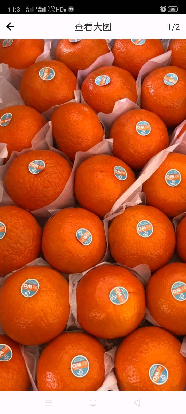 场地：安徽芜湖
100亩橘子树/9000棵树
目前有5000/8000斤橘子