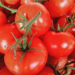 大红西红柿价格便宜，质量保证，颜色好看，弧三以上15854924782微信同号