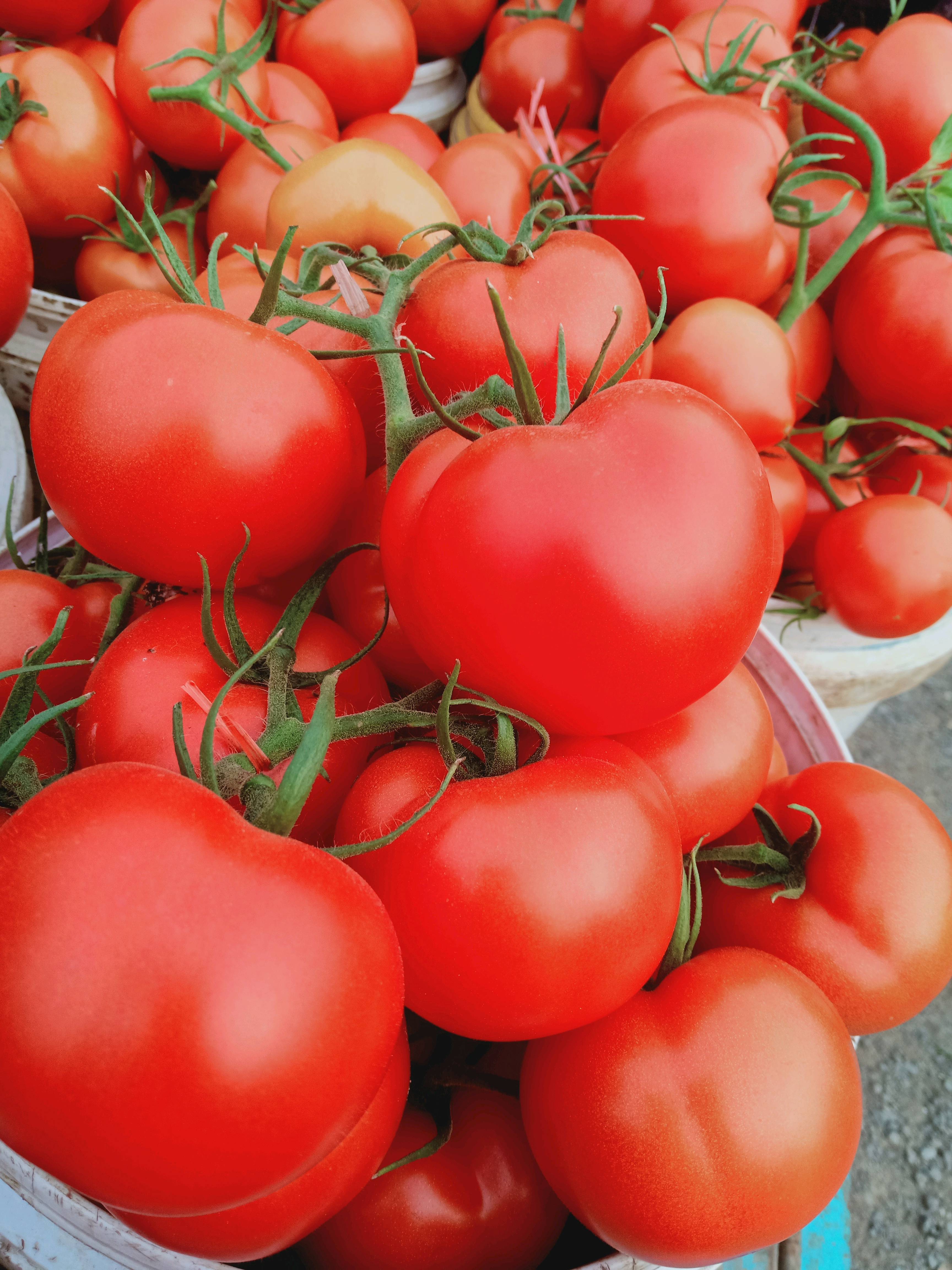 大红西红柿，颜色鲜艳，质量保证，弧三以上，价格便宜...