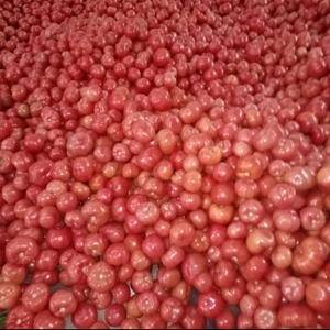 大量批发西红柿，量大便宜，质量可靠，发货速度快，两天发货...