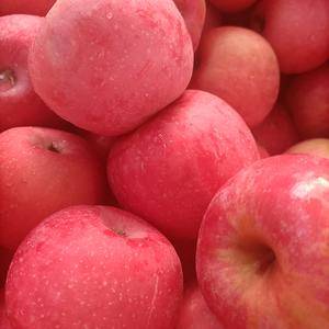 精品红富士苹果产地直销质量保证，价格便宜，颜色鲜艳漂亮需...