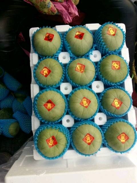 潍坊市大棚甜瓜产地，绿宝甜瓜博洋系列甜瓜羊角蜜甜瓜博洋六一甜瓜便宜了