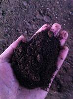 纯羊粪 羊粪有机肥 发酵羊粪 改良土壤增加肥力 绿色环保有需要的联系我，基地直供 13815714555