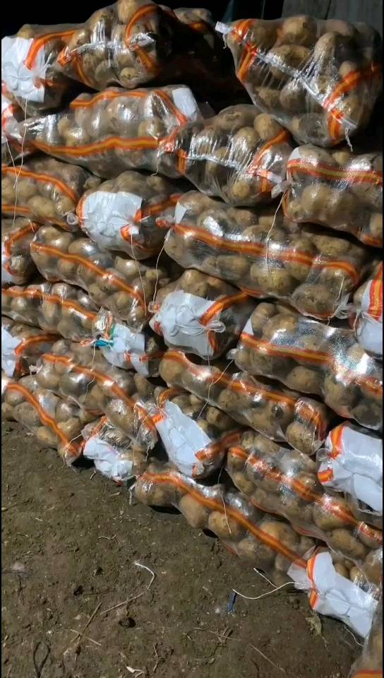 牡丹江尤金885土豆，是市场上非常认可的品种，黄皮黄心，薯型好，薯型平均6---9两1斤左右，皮毛亮，口感好，芽眼浅，
常年货源不断，发往全国各地，欢迎
新