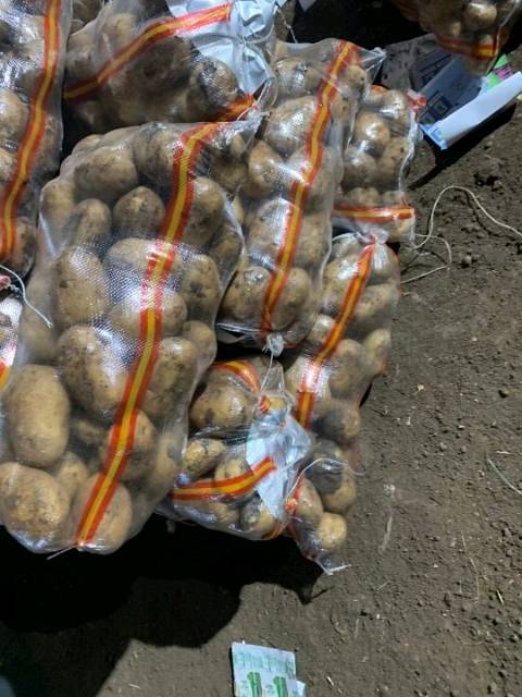 13836393278
牡丹江尤金885土豆，是市场上非常认可的品种，黄皮黄心，薯型好，薯型平均6---9两1斤左右，皮毛亮，口感好，芽眼浅，
常年货源不断