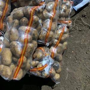 牡丹江尤金885土豆圆葱
窖储原包的倒包的需要的老板来...