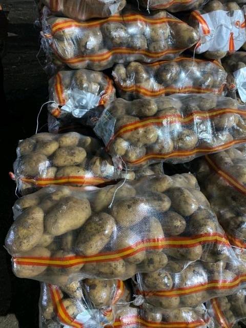 牡丹江尤金885土豆圆葱
窖储原包的倒包的需要的老板来电13