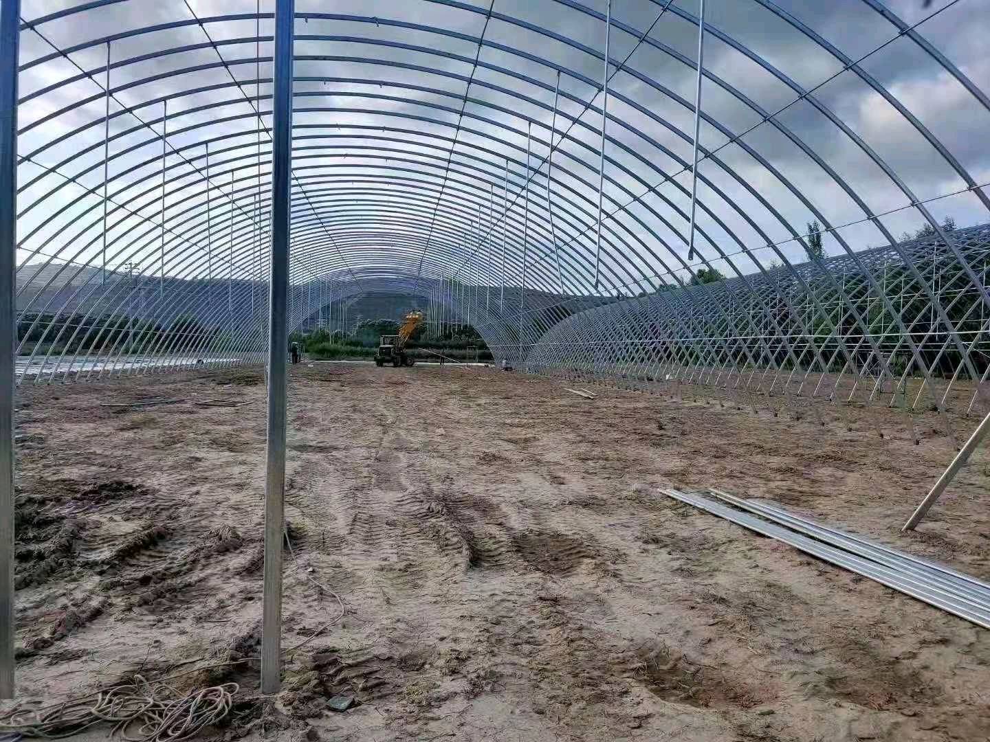 承接各种温室大棚  养殖棚    种植棚