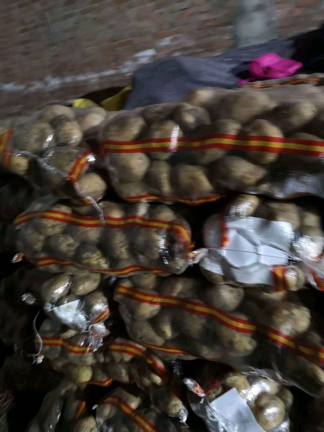 牡丹江尤金885土豆，是市场上非常认可的品种，黄皮黄心，薯型好，薯型平均6---9两1斤左右，皮毛亮，口感好，芽眼浅，
常年货源不断，发往全国各地，
每年7