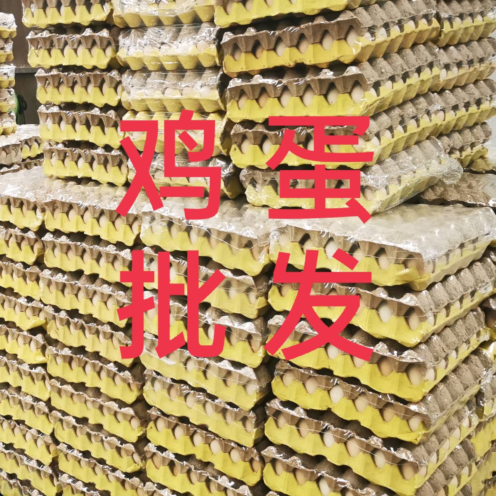 土鸡蛋电商一件代发10-60枚土鸡蛋
整箱批发，长期供...