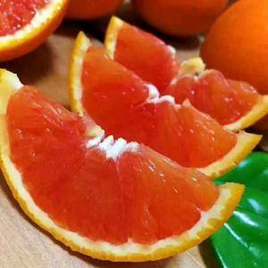  秭归脐橙（15997500576）微信同号 
 伦晚鲜橙 中华红红橙 夏橙 纽荷尔 长虹 园红 九月红等品种都有，量大从优。本人长期做宜昌橙子、蜜桔等相关