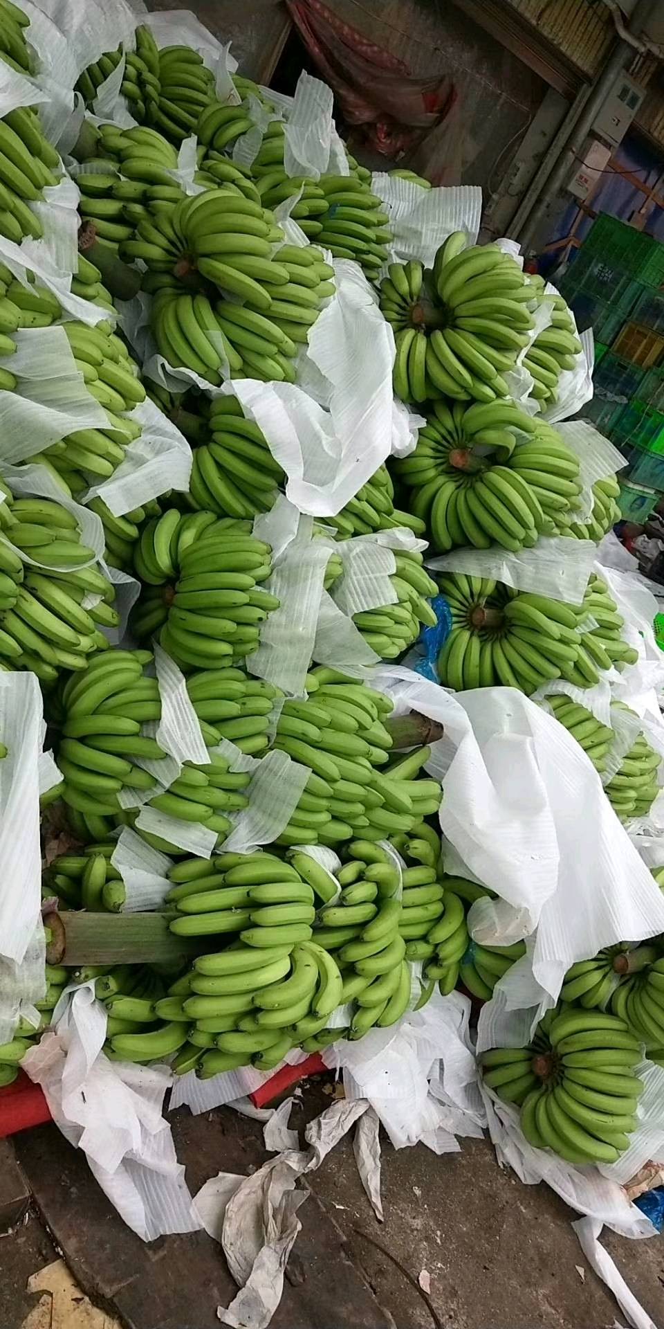 香蕉0.8一斤 一千六一吨  五吨起批
