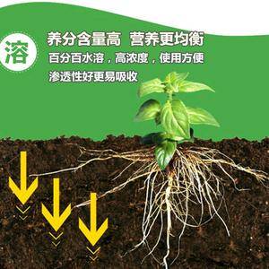 植物生根剂，作物根系营养液