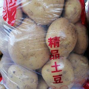 本地区盛产大量土豆，欢迎你收购