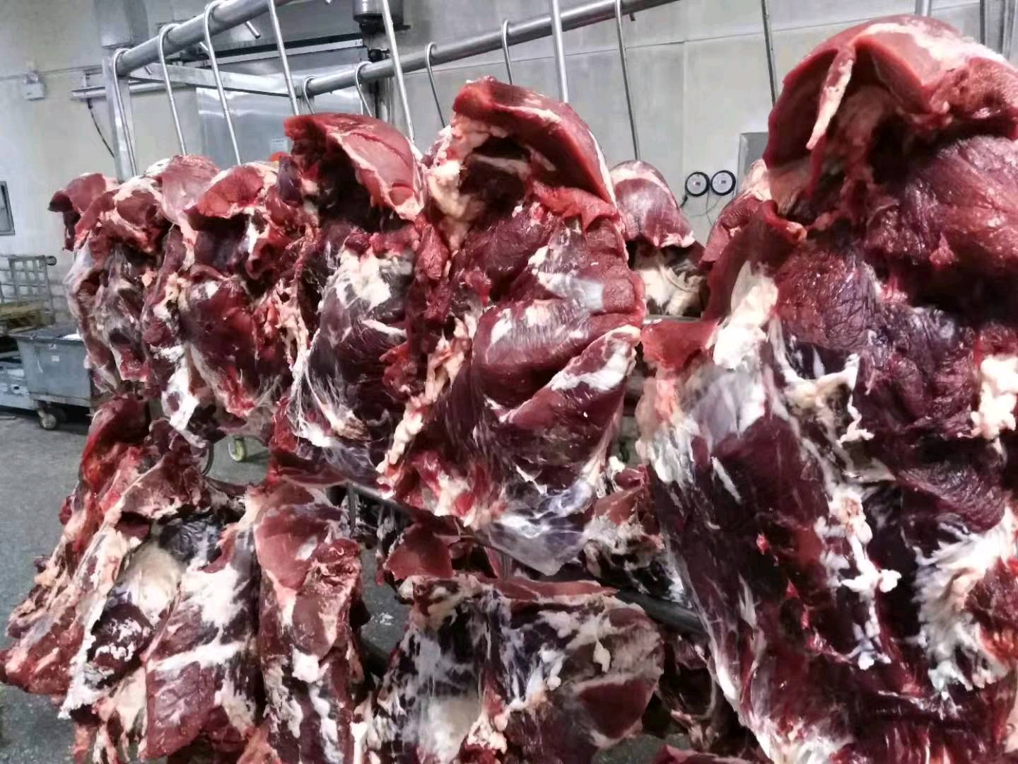 国产清真纯干鲜牛腿肉厂家直销需要的老板联系